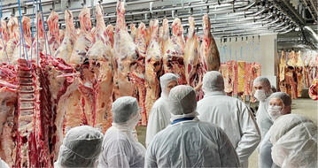 Gro�es Interesse gab es am Tierschutzkonzept des Schlachtbetriebes. Die Vion Food Group hat 2021 weltweit einen Umsatz von 4,6 Mrd. Euro erzielt. In Deutschland gibt es 16 Vion-Standorte.