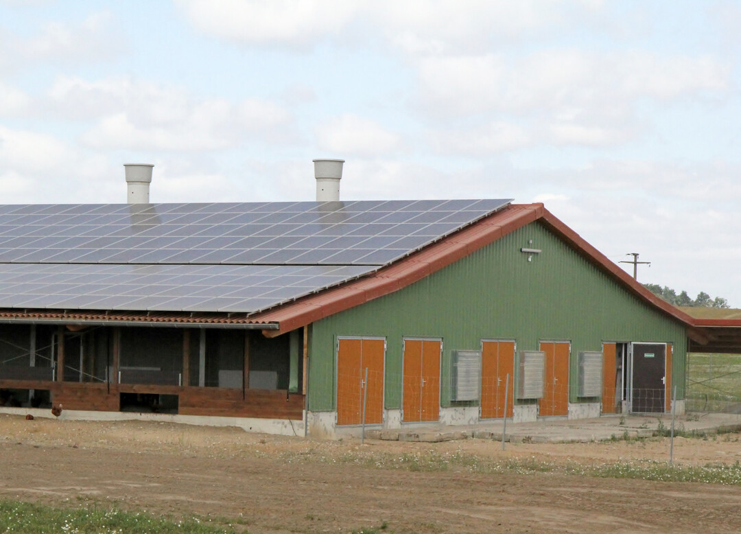 Die EU-Kommission hat Belgien genehmigt, Gelder an Landwirte zu zahlen, die freiwillig aus der Tierhaltung aussteigen.