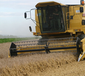 Die EU-Gerstenernte 2024 soll das schwache Ergebnis des Vorjahres um mehrere Millionen Tonnen übertreffen.