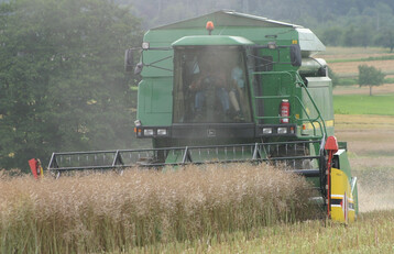 Zur Rapssaat war es in vielen Teilen der EU zu nass, sodass der Anbau zur Ernte 2024 kleiner ausf�llt als geplant.