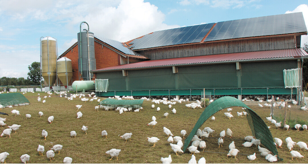 Das typische Stallgeb�ude aus den 1970er-Jahren hat Familie Neumaier im Jahr 2017 kosteng�nstig umgebaut. An den Wintergarten an der Westseite schlie�t sich der Auslauf an. Verschiedene Unterst�nde bieten den Masth�hnchen Sicherheit.