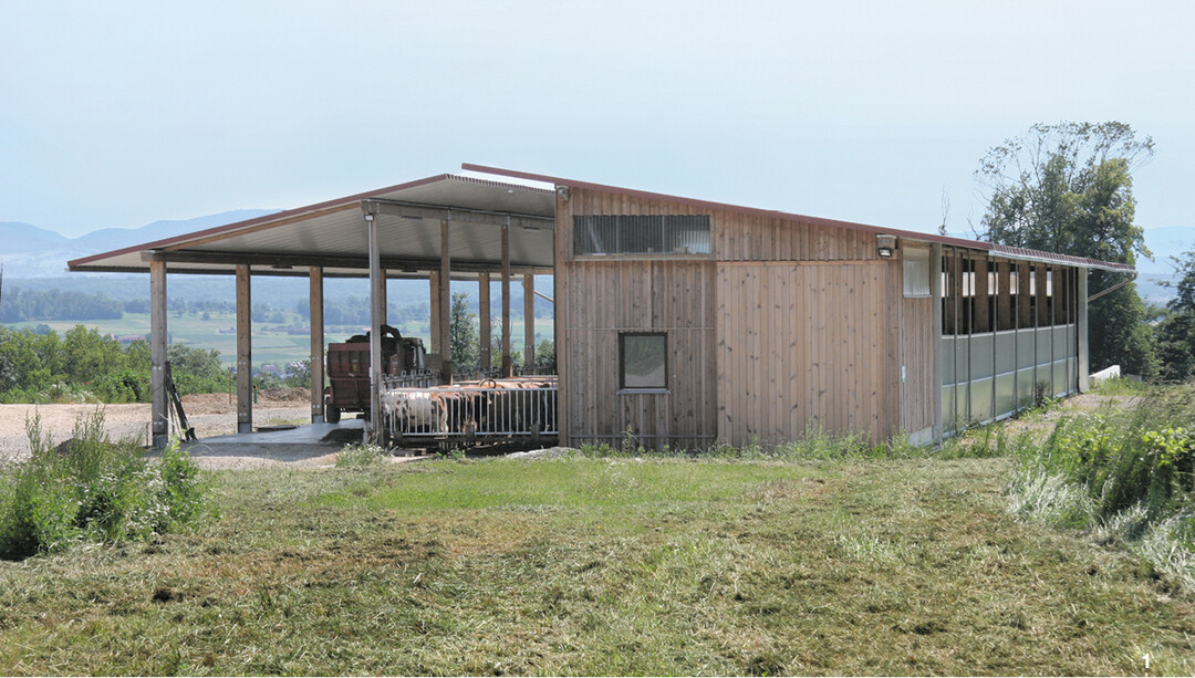 Im 2018 fertiggestellten Tretmiststall haben 40 Mutterk�he plus Nachzucht Platz. Ein gleicher Stall ist inzwischen spiegelbildlich auf der anderen Seite des Futtertisches gebaut worden.