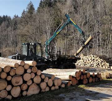 Bei den Waldbesitzern ist die Verzweiflung gro�. Die Rundholzpreise sind im Keller.