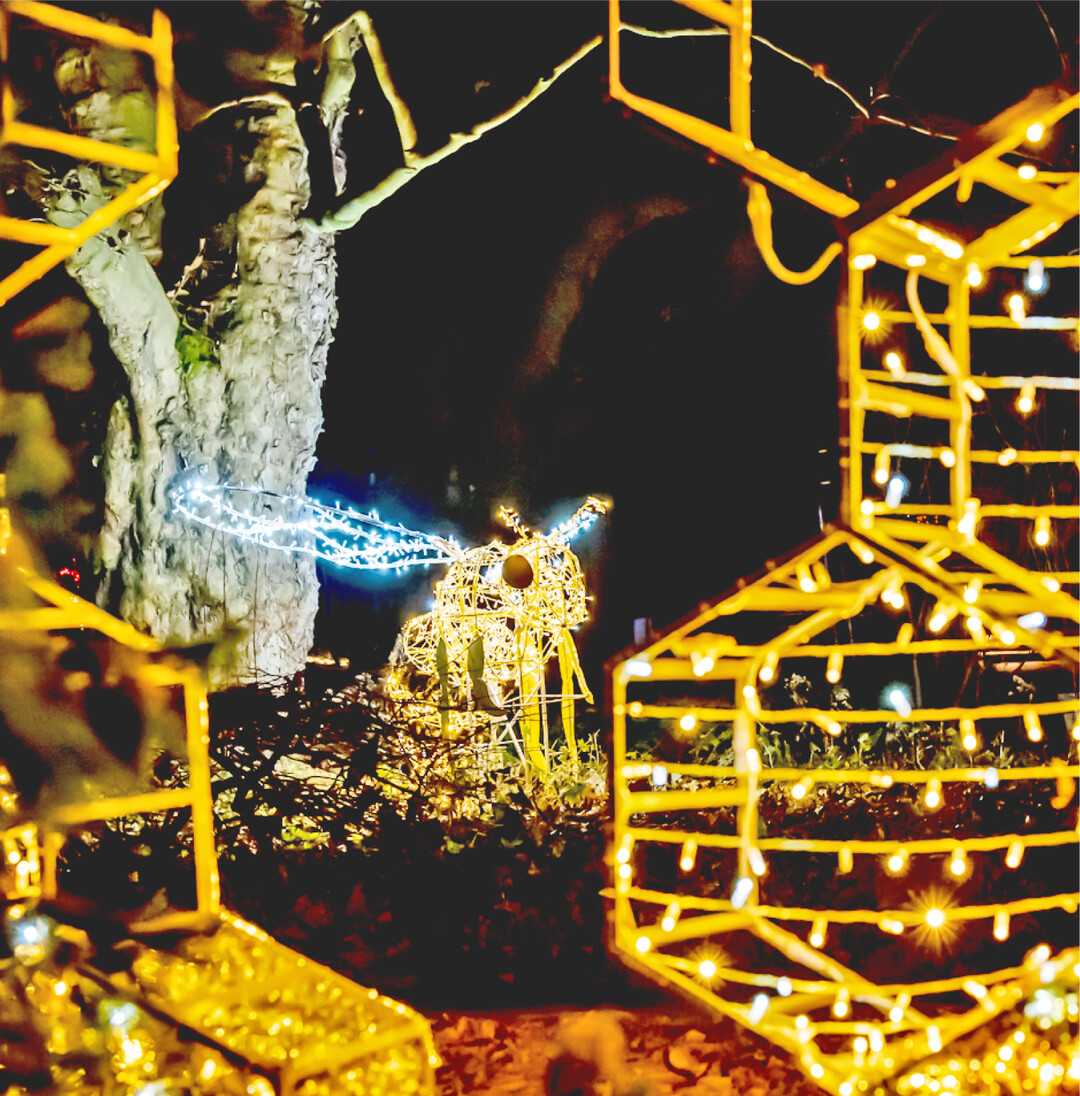 Sobald es dunkel wird, erstrahlt der Christmas Garden auf der Insel Mainau. Er entf�hrt die Besucherinnen und Besucher auf einem circa zwei Kilometer langen Rundweg durch das Gel�nde der Schloss- und Parkanlagen dank zahlreicher glitzernder Illuminationen und musikalischer Untermalung in eine magische Weihnachtswelt. Millionen von Lichtpunkten tauchen die barocken Geb�ude und den �ber 150 Jahre alten Baumbestand in ein (vor)weihnachtliches Glanzmeer. In der Stuttgarter Wilhelma ist ebenfalls eine leuchtende Weihnachtswelt aufgebaut.