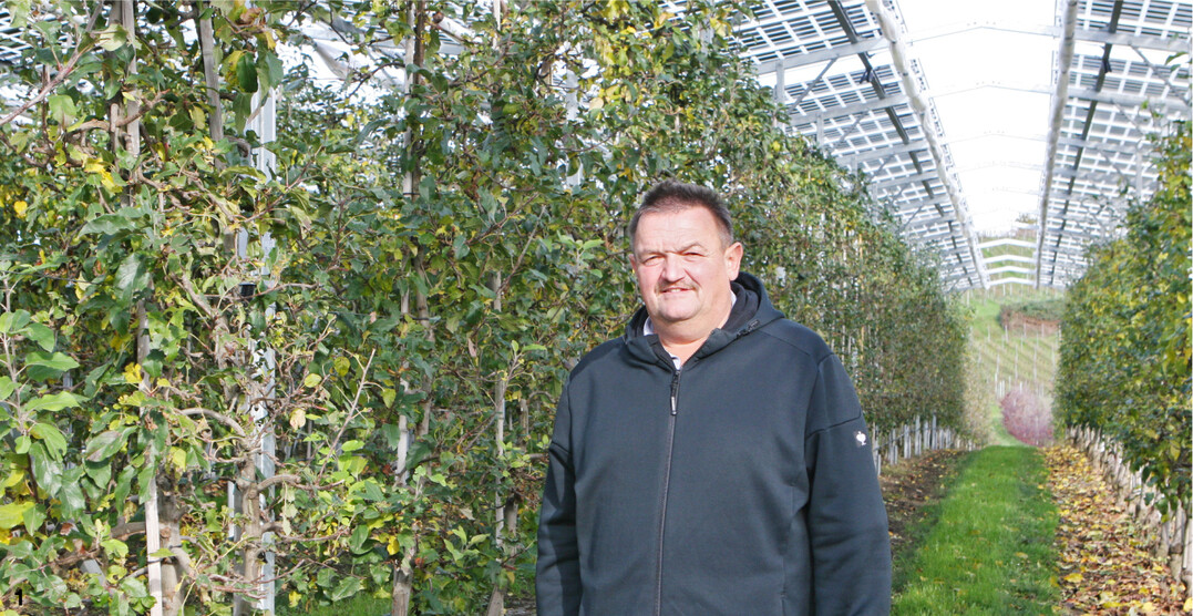 Auf dem Betrieb von Hubert Bernhard in Kressbronn wurden erstmals Solarmodule �ber einer bestehenden Obstanlage installiert.