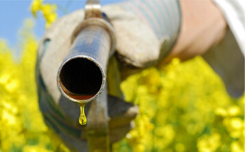 Die Nachfrage nach Pflanzen�len als Energietr�ger w�chst stetig. Jedoch sanken die Rapspreise im November um 100 Euro pro Tonne, und auch Rapsimporte machen dem Markt zu schaffen.