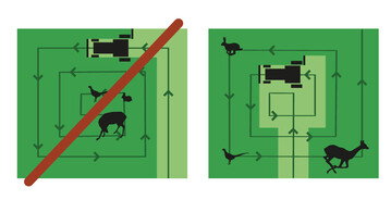 Beim Mähen von inne nach außen hat das Niederwild eine Chance zu fliehen.