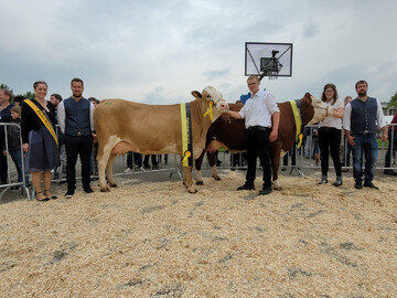 Siegerin Jungkuh wurde Habsburger-Tochter Lotte von Markus Scheuing, Berg. Zur Reservesiegerin wurde die Spartacus-Tochter Ghost von Joachim Keller, Allmendingen, ausgew�hlt.