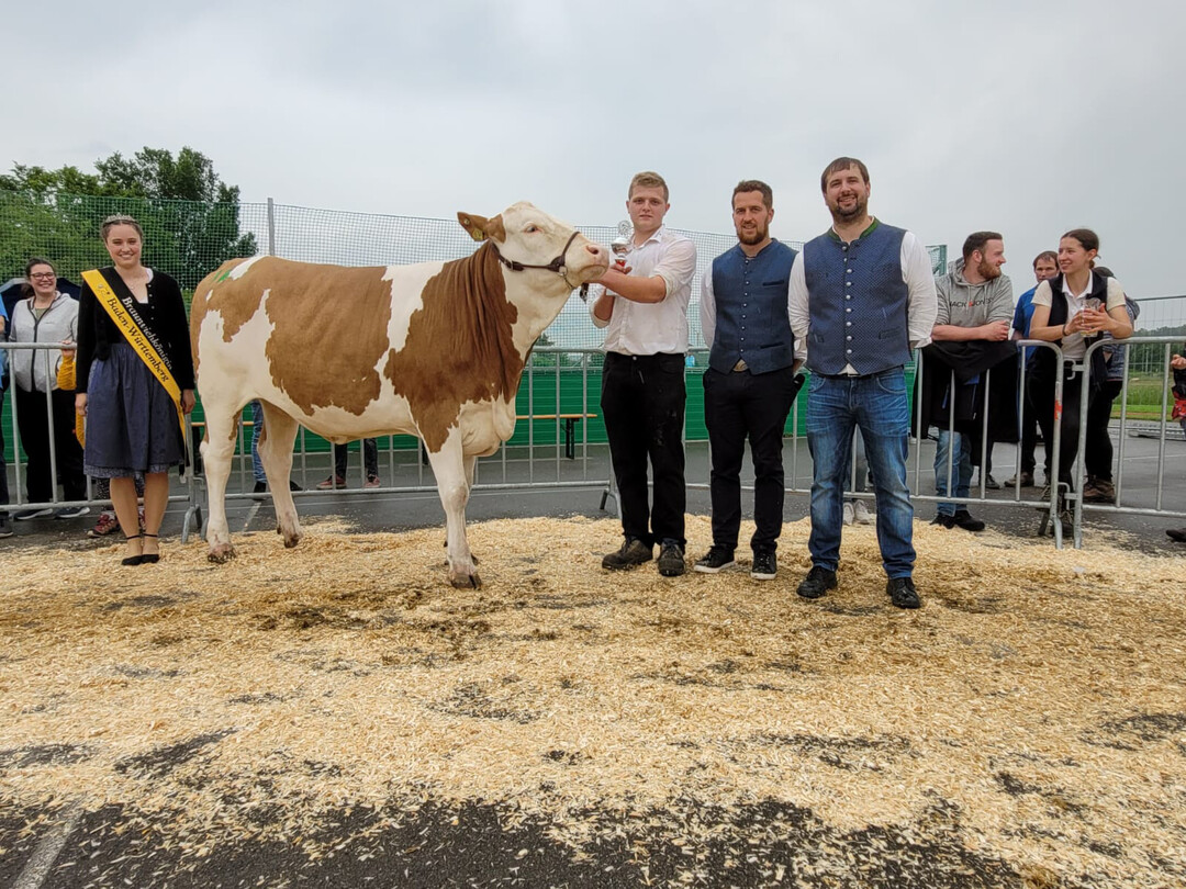 Typ-Siegerin wurde eine Horazio-Tochter am Halfter von Florian Keller.