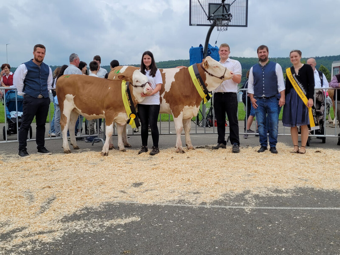 Typ-Siegerin wurde eine Horazio-Tochter, am Halfter von Florian Keller, vor einer Mystic-Tochter, gef�hrt von Lena Scheuing.