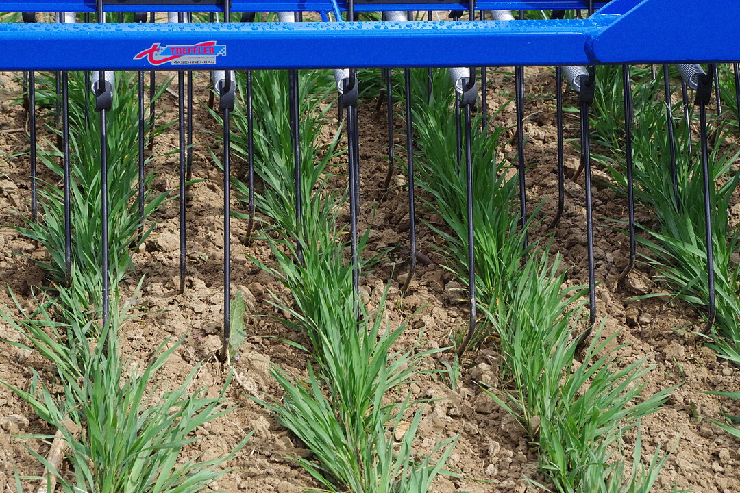 Bioland Hack- und Striegeltag 2018