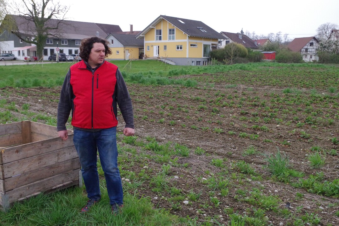 Landwirt Arnegger zeigt den Blühstreifen im Erdbeerfeld.