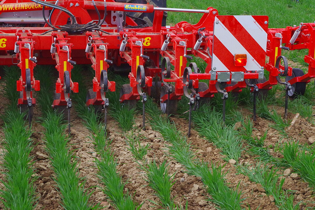 Hacke Einb�ck Chopstar: Die Hacke wurde in Heckausf�hrung mit der automatischen Kameralenkung Row-Guard und einem Verschieberahmen (Verschiebeweg rund 50 Zentimeter) gezeigt. Das Ger�t wird in Ausf�hrungen f�r Reihenabst�nde von 25 bis 150 Zentimeter verkauft. Die Variante mit 37,5 Zentimeter Reihenabstand wird f�r bis zu 24 Reihen geliefert.