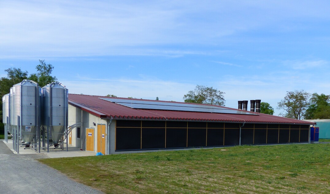 Kitzingen 2016: Niedrigenergiestall f�r Junghennenaufzucht und H�hnchenmast mit konventionellen und �kologischen Pl�tzen.