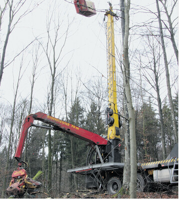 Mit der Winde, die am abgespannten Seil befestigt ist, werden die St�mme aus dem Hang geholt.