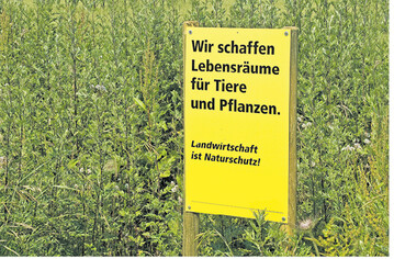 Deutsche Ackerbaubetriebe wirtschaften nachhaltig, so das Ergebnis einer Studie. Potenziale zur Verbesserung sehen die Autoren der Studie aber beispielsweise noch im Teilbereich Biodiversit�t.