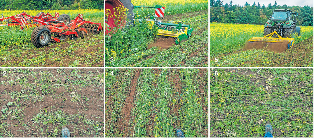 Kurzscheibenegge (), Kreiselegge () und Zinkenrotor () unterscheiden sich bei einer Regulierung im Herbst erkennbar in der resultierenden Bodenbedeckung sowie Verteilung der Zwischenfr�chte auf der Bodenoberfl�che.
