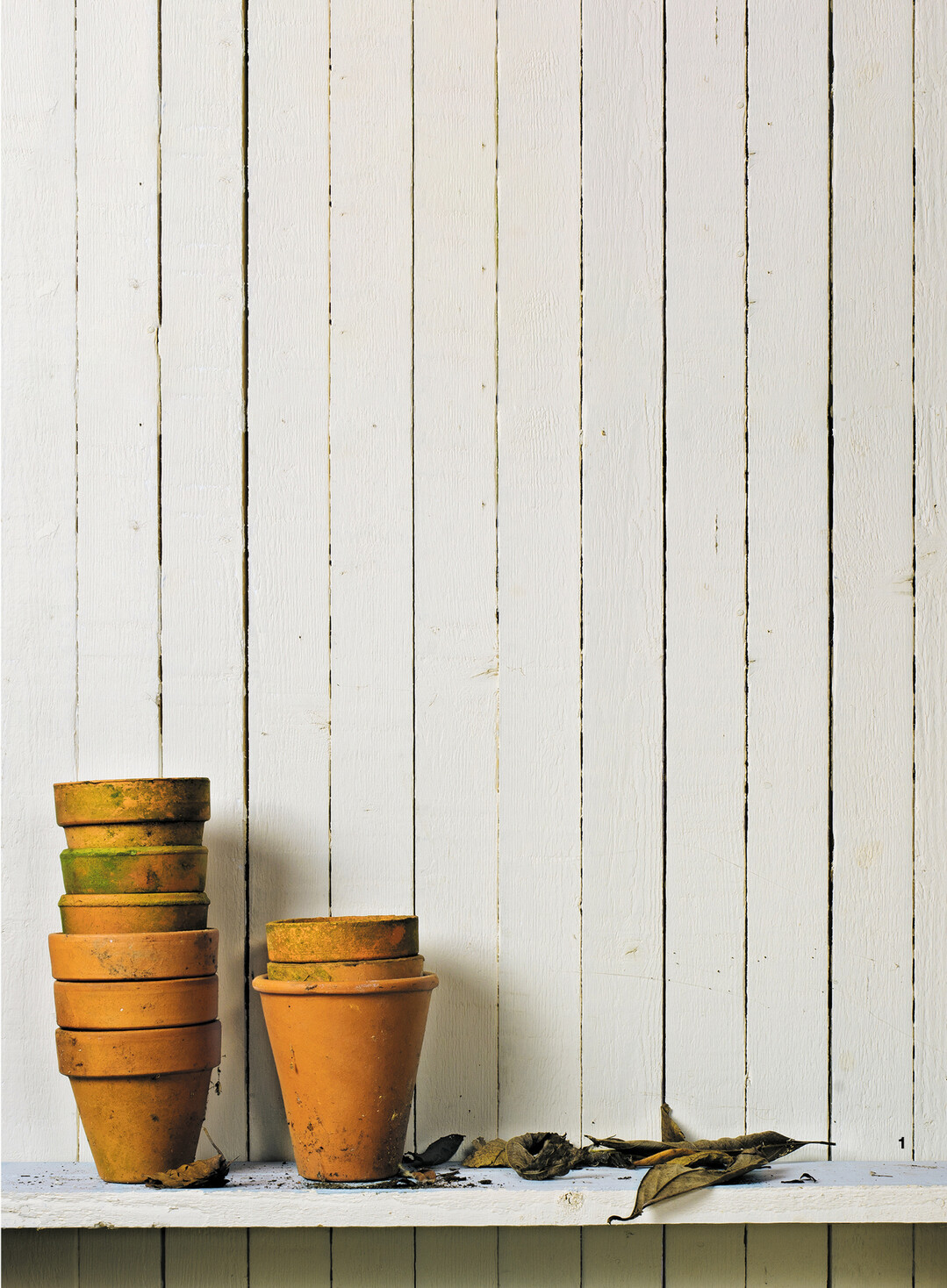 Pflanzt�pfe aus Ton ...