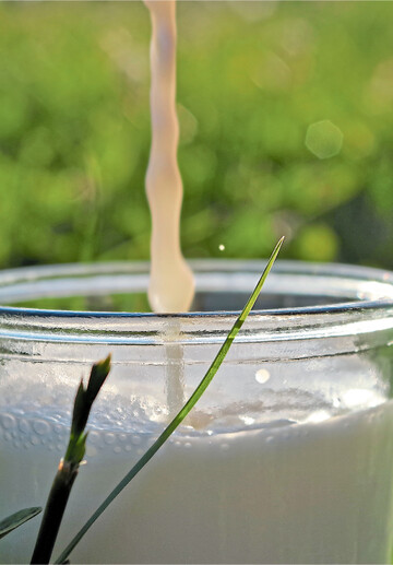 Der Biomilchpreis bleibt konstant, deckt aber die Vollkosten nicht ausreichend ab.