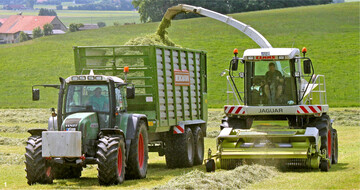 In diesem Jahr blieb oft nur wenig Zeit für die Silagebereitung. Jedes auch noch so enge Zeitfenster musste genutzt werden.