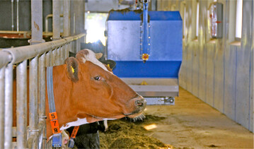 Mit einer teilweise oder komplett automatisierten Futtervorlage lässt sich Arbeitszeit einsparen vorausgesetzt, das gewählte Fütterungssystem passt zum Betrieb.