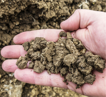 Polyedergef�ge ist auf B�den mit hohen Tongehalten anzutreffen.