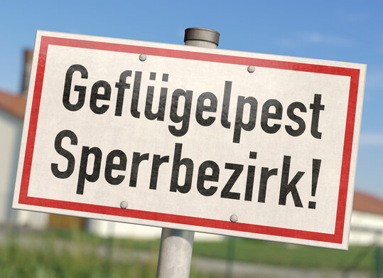 In Bad Bentheim besteht der Verdacht, dass die Gefl�gelpest in einen Gefl�gelbetrieb mit Legehennen eingeschleppt wurde.