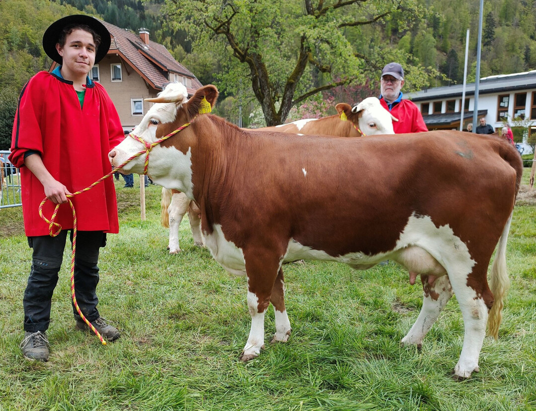 Der Waltlab-Tochter Hermine von Klaus Kiefer aus Aitern war der Sieg nicht zu nehmen.