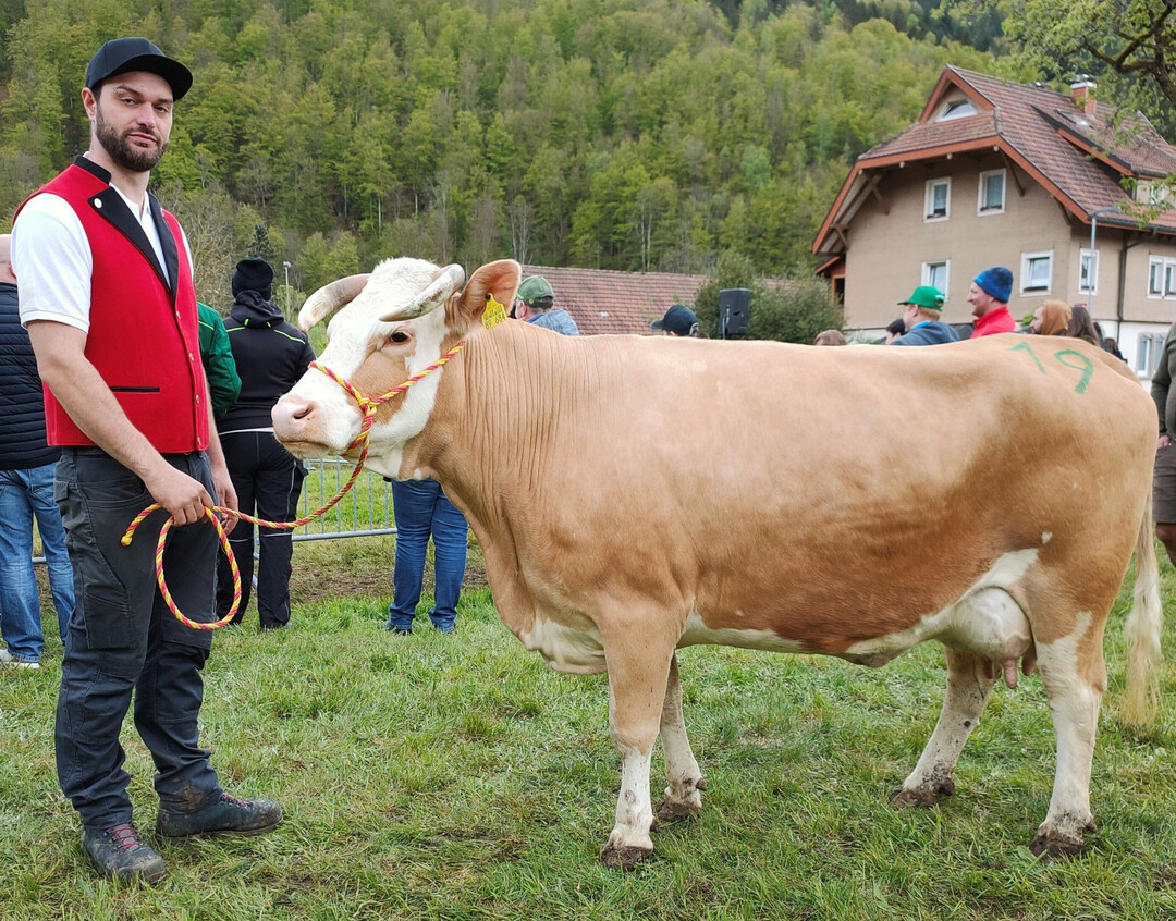 Beim besten Euter war die Agbentochter Resi von der Schelshorn GbR in Bernau-Hof mit ihren acht Abkalbungen nicht zu schlagen.