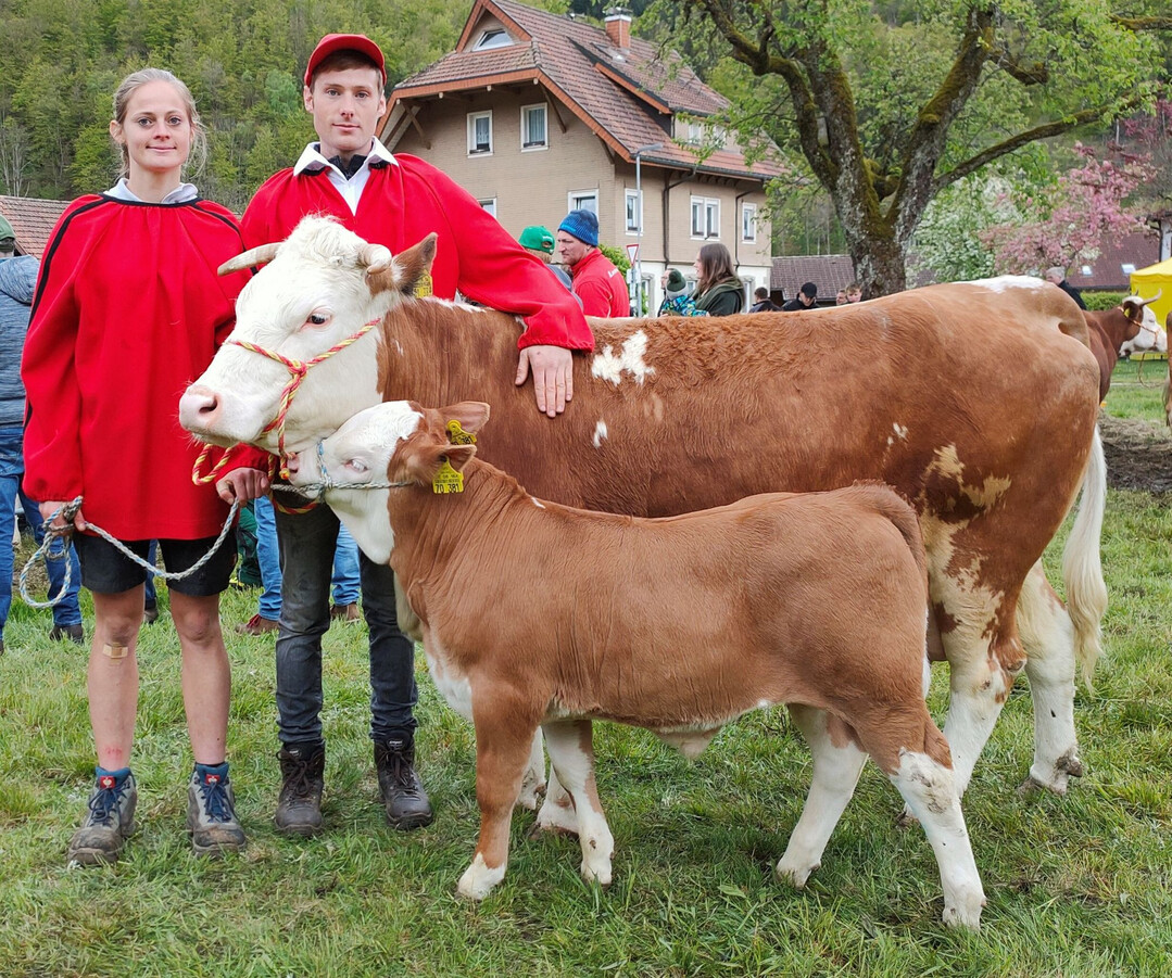 Eindeutiges Siegergespann bei der männlichen Fraktion wurde die Rouben-Tochter Laura mit ihrem fünften Kalb.