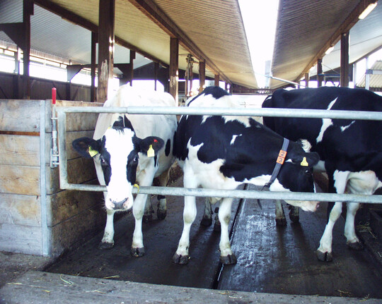 QM-Milch-Betriebe werden künftig als Prüfsystem für das Herkunftszeichen Deutschland anerkannt.