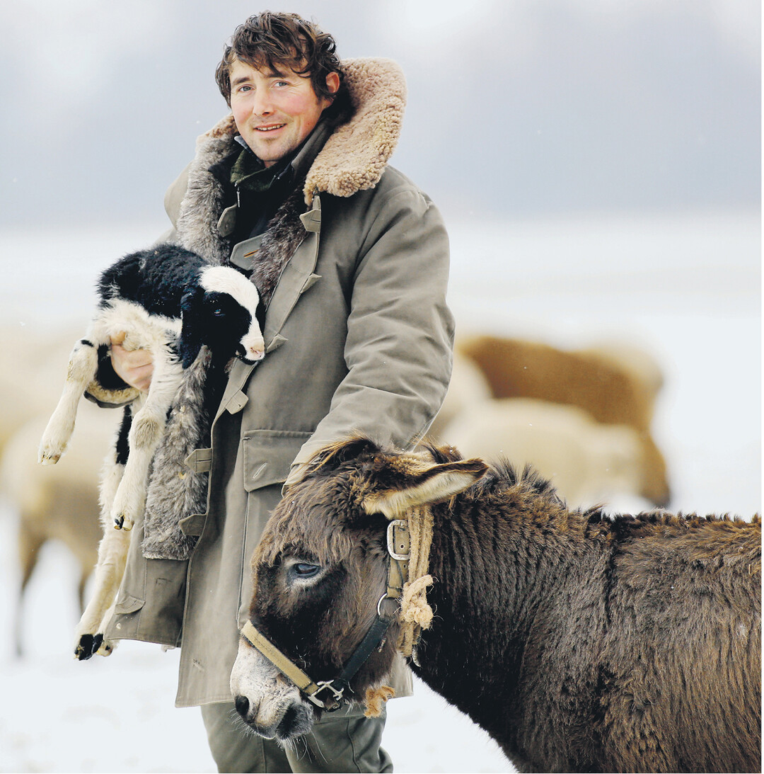 Auf den Donauwiesen zwischen Zell und Bechingen h�tet dieser junge Sch�fer seine Herde, begleitet vom treuen Esel.