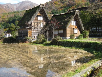 Ein landestypisches Bild ist der Nass-Reisanbau in Bergregionen wie hier auf der gr��ten Insel Honshu.