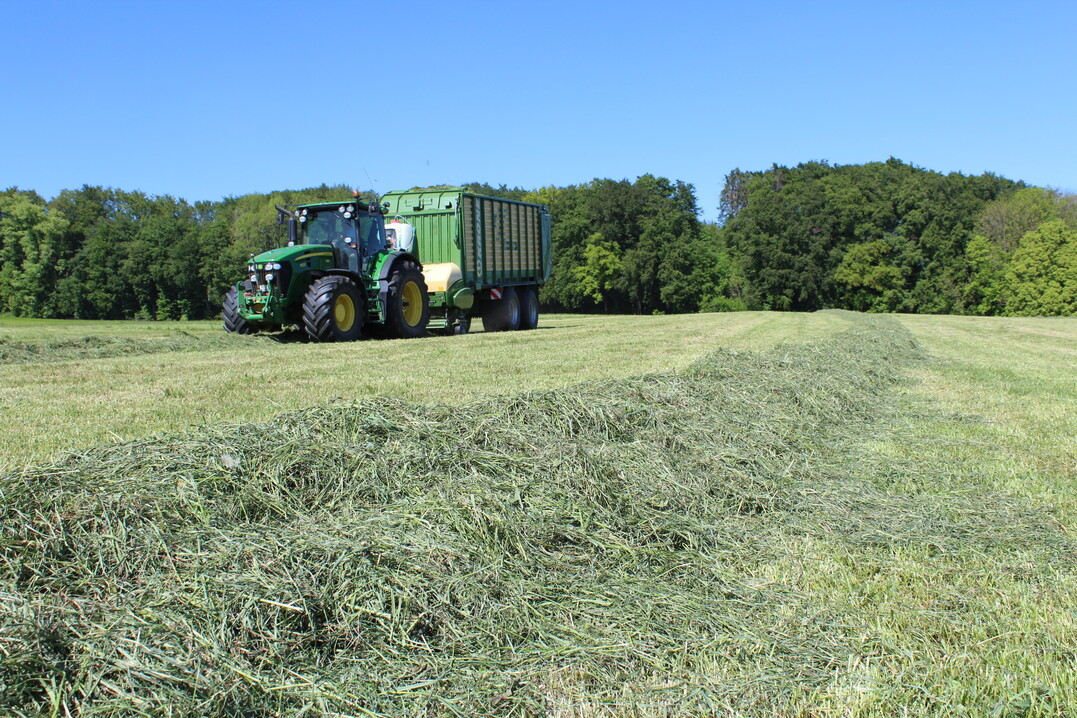 Der erste Schnitt in diesem Jahr überzeugte vielerorts durch gute Inhaltsstoffe.