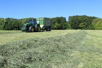 Der erste Schnitt in diesem Jahr �berzeugte vielerorts durch gute Inhaltsstoffe.&nbsp;