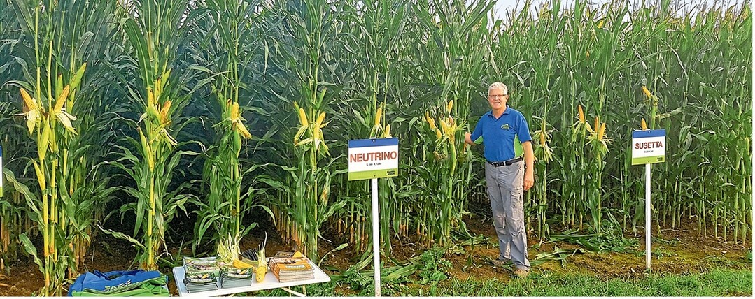 Berater Martin Munz ist auf Feldtagen, um Landwirten Neuheiten aus der Maisz�chtung zu pr�sentieren. Auf Feldtagen sehen Besucher die Sorten im direkten Vergleich.