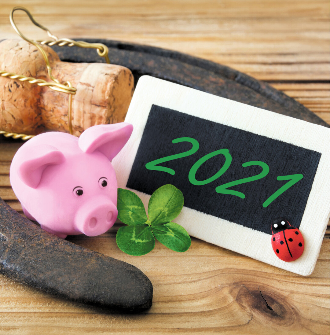 Gl�cksschweinchen, vierbl�ttriges Kleeblatt und Marienk�fer sind unsere typischen Gl�cksbringer. Wegen ihrer N�tzlichkeit f�r die Landwirtschaft glaubten die Bauern fr�her, dass die K�fer ein Geschenk der Maria (Mutter Jesu) seien und benannten sie nach dieser.