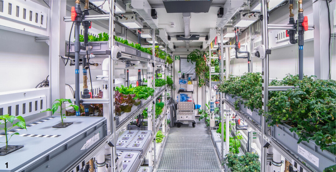 Versuche zur Kultur von Gem�se mitten in der Antarktis: im Aeroponik-System Gew�chshausprojekt EDEN-ISS.