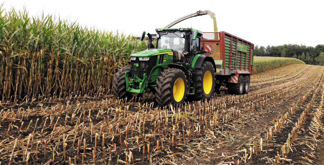Die meisten Versuche im Rheintal wurden noch im August geh�ckselt.