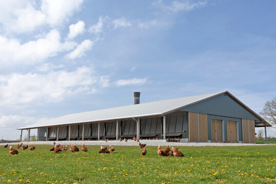 Der Um- oder Neubau von Ställen für mehr Tierwohl kollidiert oft mit emissionsrechtlichen Auflagen.