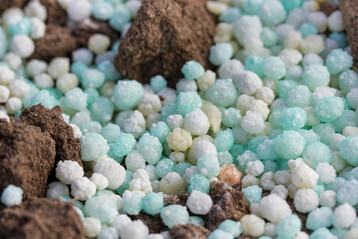 Die Düngerherkunft ist ein erster und wichtiger Schritt, den CO
<sub>2</sub>
-Fußabdruck der Agrarprodukte zu senken.