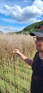 Thomas Wenzel neben unwettergeschädigtem Rapsfeld.