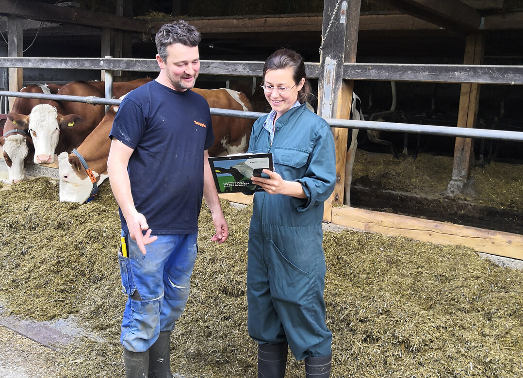 1 Passt die Ration für die laktierenden Kühe noch? Oder sollten die Futterbestandteile angepasst werden, bevor die Kühe verfetten? Die regelmäßige Überprüfung der Rationen bewahrt Milchviehhalter vor Betriebsblindheit bei der Fütterung ihrer Tiere.