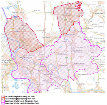 Gebietskulisse der infizierten Zone sowie der Sperrzone in Baden-Württemberg am 29. Juli 2024.