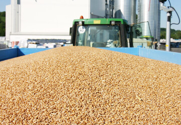 Die Ernte im Land hat fr�h begonnen, zieht sich jetzt aber in die L�nge. Erntedruck entsteht dabei nicht.