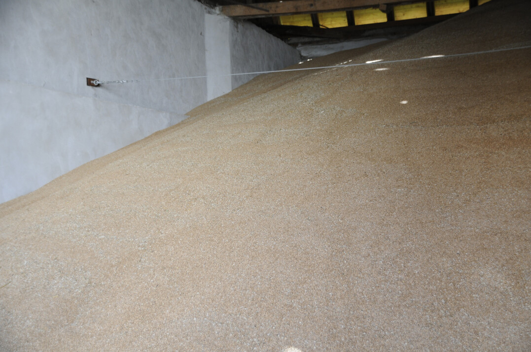 Ein Getreidelager mit Weizen.