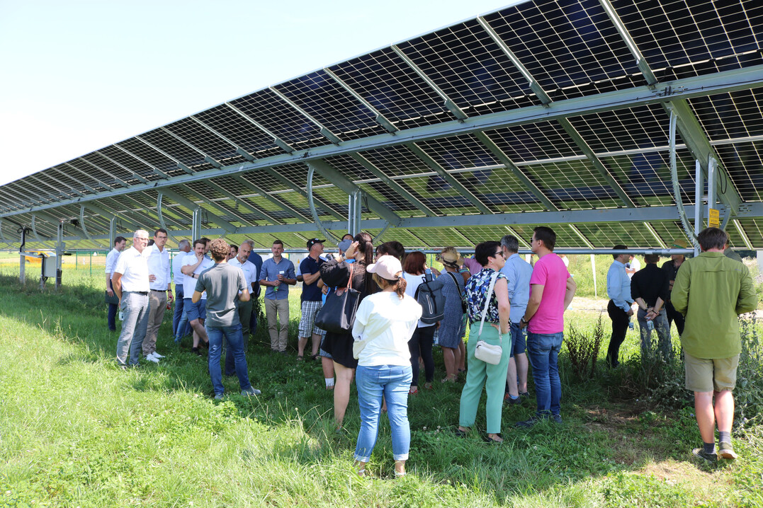 Das Interesse unter den G�sten war gro�, darunter war zum Beispiel auch ein Landwirt, der gerade mit den Stadtwerken in seiner Heimatgemeinde einen Solarpark errichten m�chte, bislang nur als Vollfl�che geplant, k�nftig vielleicht auch in Form von Agri-PV?