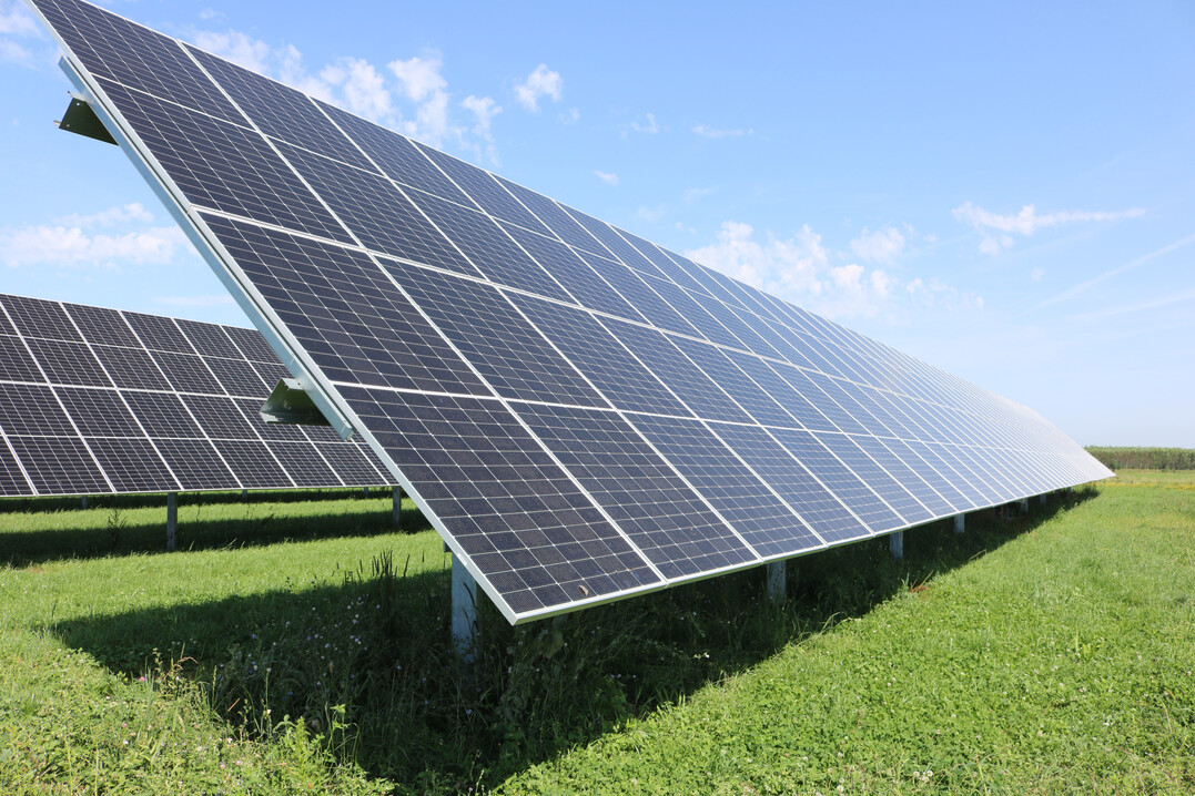 Die Anlage in Schlier ist verteilt auf drei Standorte �ber insgesamt knapp 14 Hektar Acker- beziehungsweise Gr�nlandfl�chen. So wird der Boden doppelt genutzt. Hier in auf dem Standort in Wetzisreute wurde nach den Bauarbeiten Kleegras einges�t, um den Boden zu verbessern. Im kommenden Herbst soll Getreide einges�t werden.