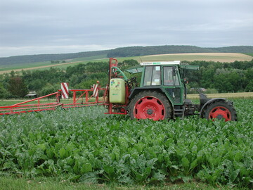 Der richtige Zeitpunkt ist bei der Fungizidbehandlung entscheidend