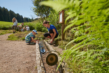Unterkirnacher Wasserweg.
